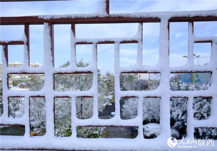 11月6日晚，古城西安迎來2021年第一場雪。吳超攝