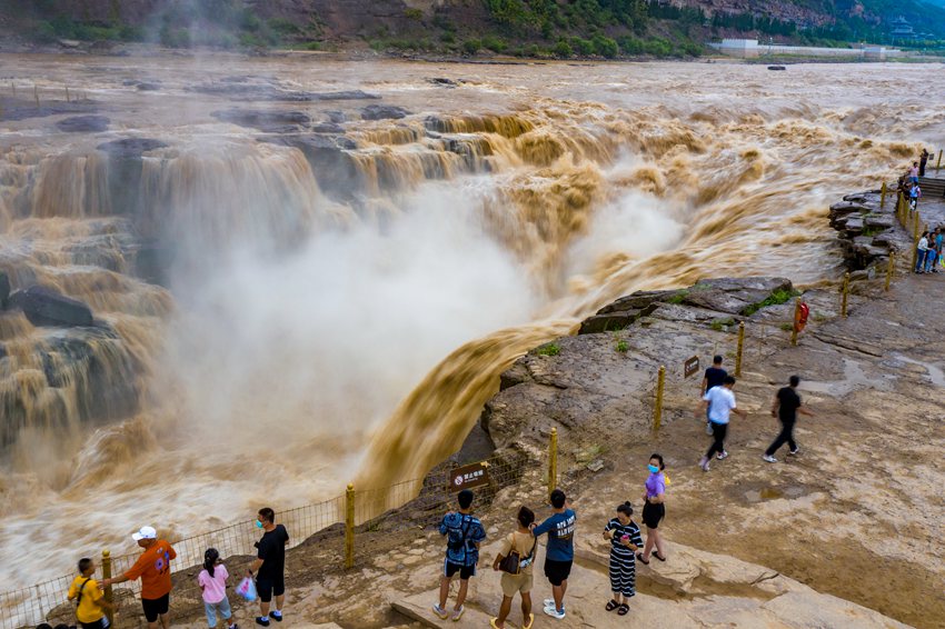 陜西壺口瀑布現(xiàn)“金瀑飛流”奇觀。黃河壺口瀑布旅游區(qū)供圖