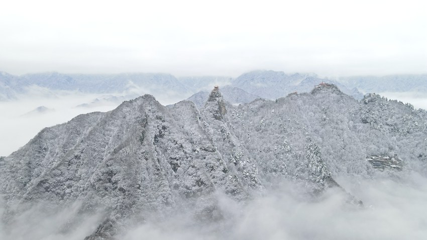 春雪落秦嶺，銀裝素裹美如畫。張玉龍 攝