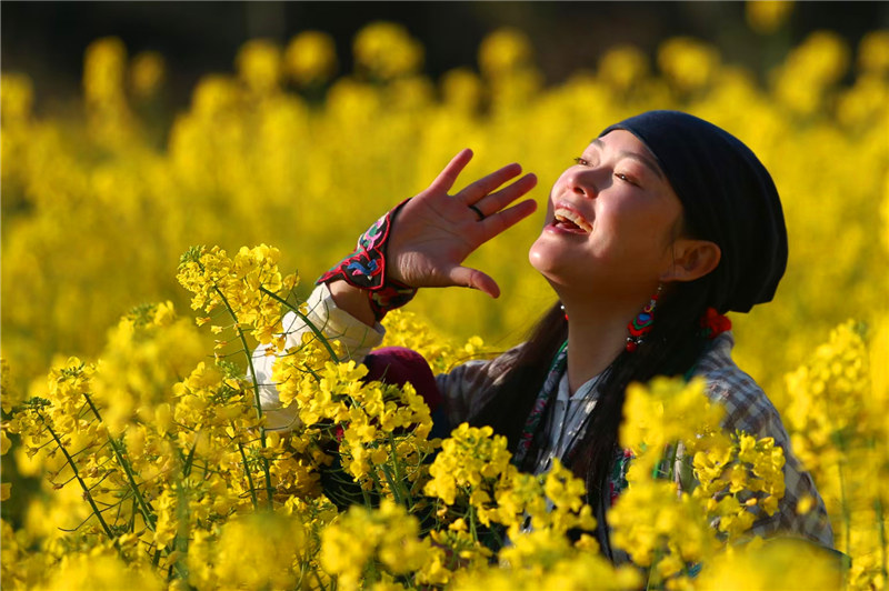 游客在油菜花海里拍照賞花。