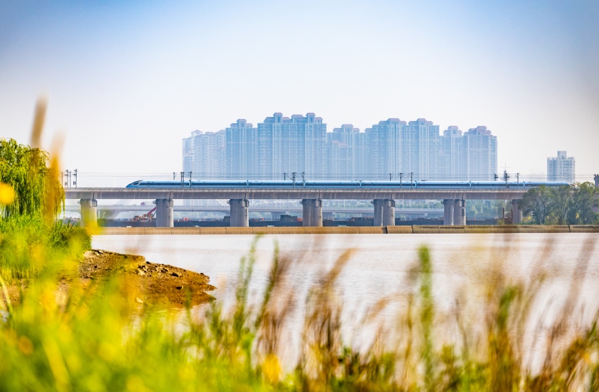 復興號動車組列車駛過鄭西高鐵灞河大橋。劉翔 攝