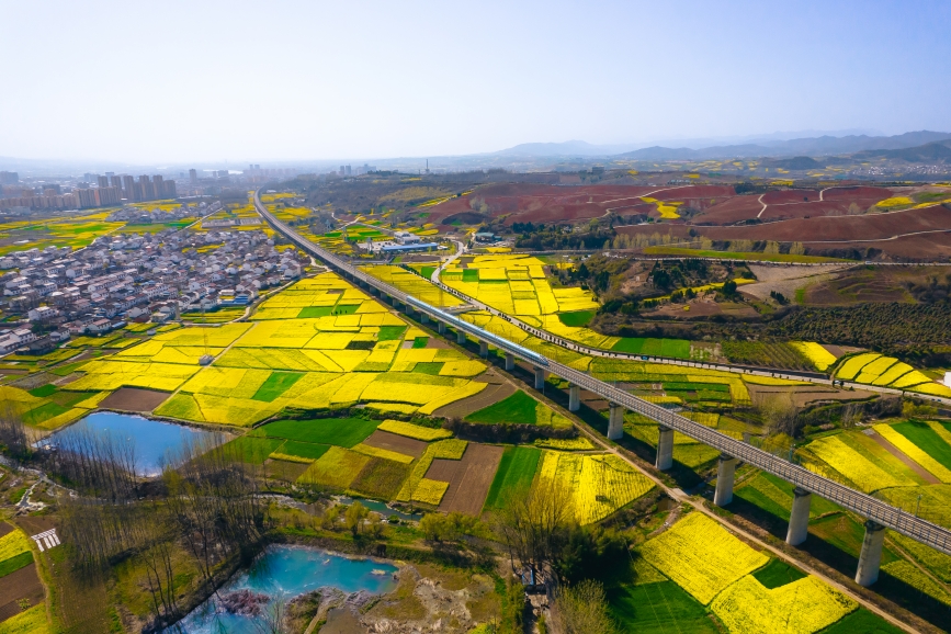 高鐵動(dòng)車組穿越油菜花海。劉一江攝