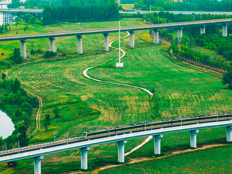 灃河生態(tài)濕地公園。西咸新區(qū)融媒體中心供圖