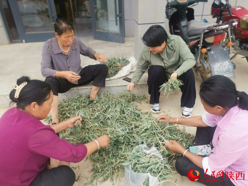 白秀葉（右二）在村委大院和村民們拉家常。人民網(wǎng) 王麗攝